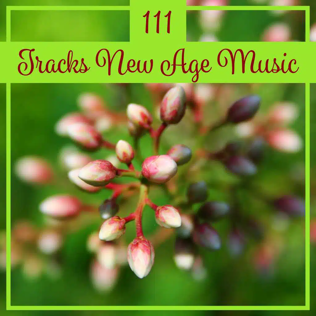 Study Music