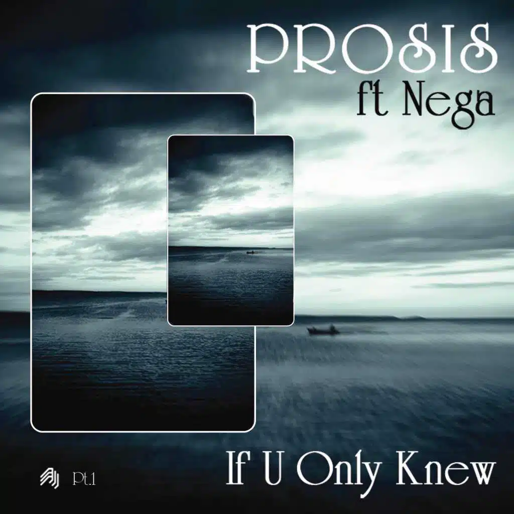 If U Only Knew Remixes (Part 1) [feat. Nega]