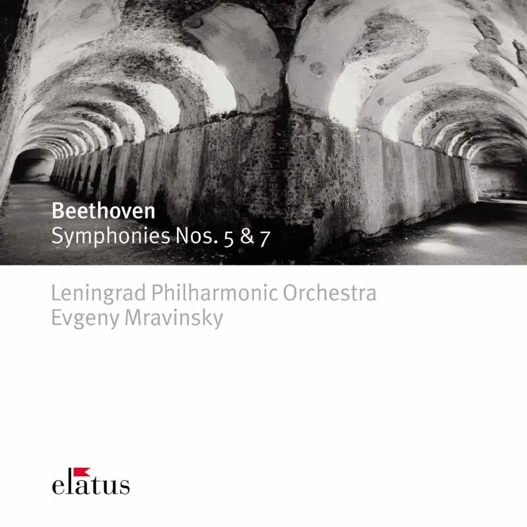 Symphony No. 5 in C Minor, Op. 67: I. Allegro con brio (Live at Leningrad, 1974)