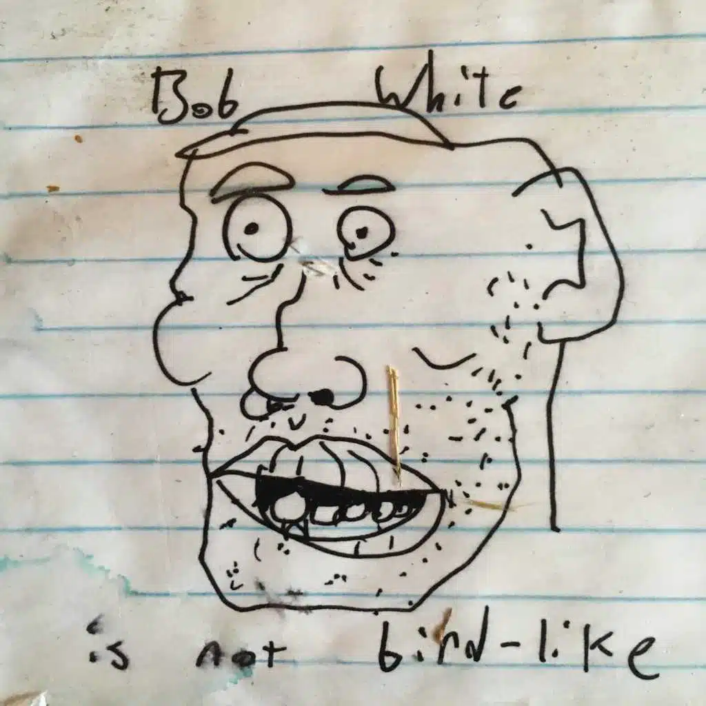 Bob White Is Not Bird-Like