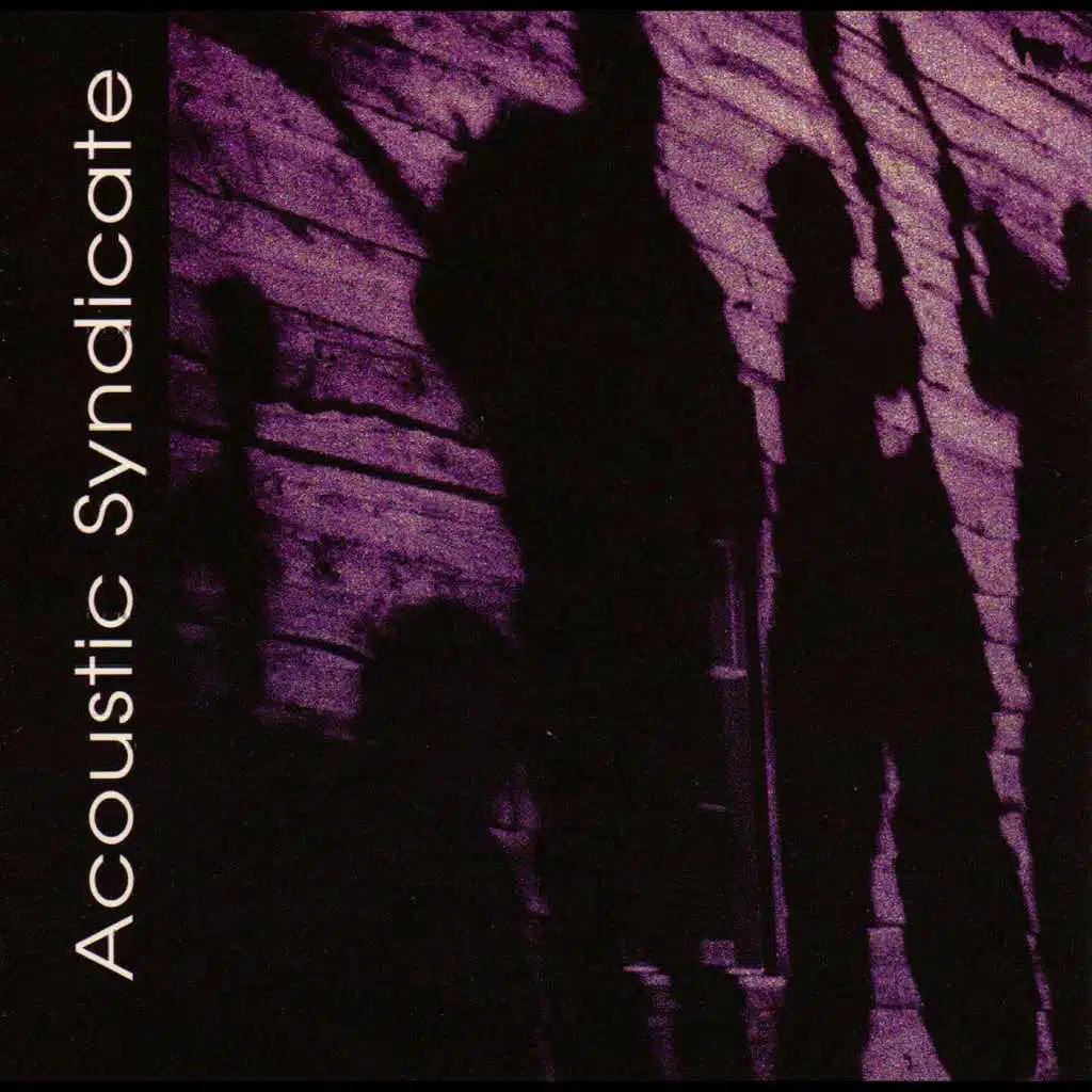 Acoustic Syndicate