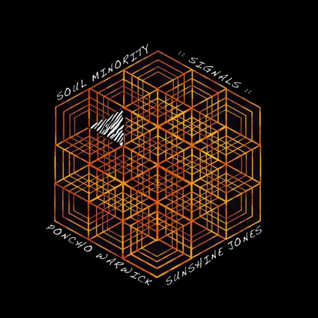 Signals (Poncho Warwick Flare Remix)