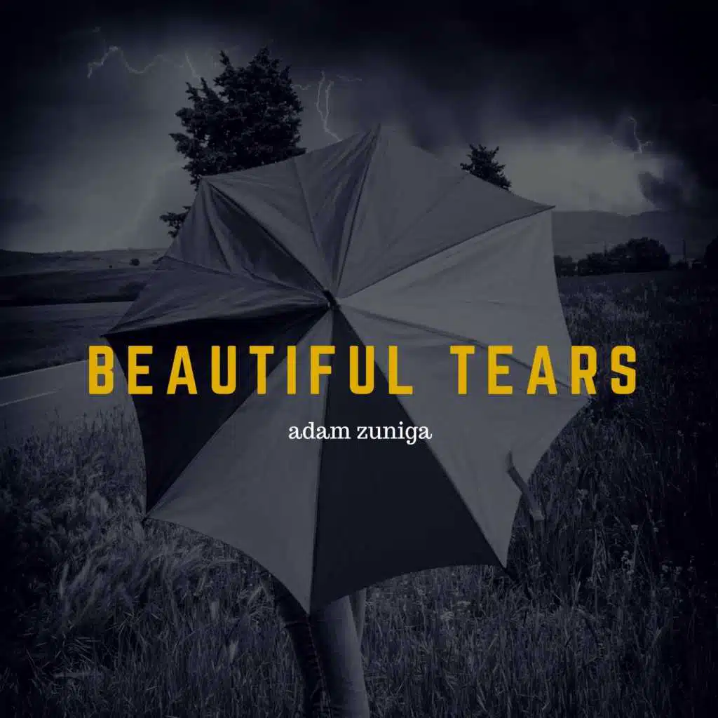 Beautiful Tears (Reimagined)