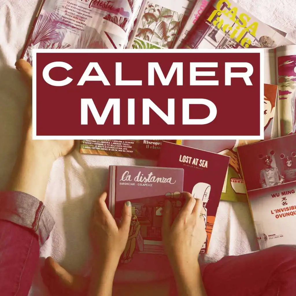 Calmer Mind - Music for Relaxation, Chillout, Classical Moments for Rest