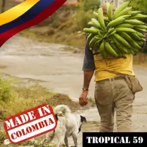Made In Colombia / Tropical / 59