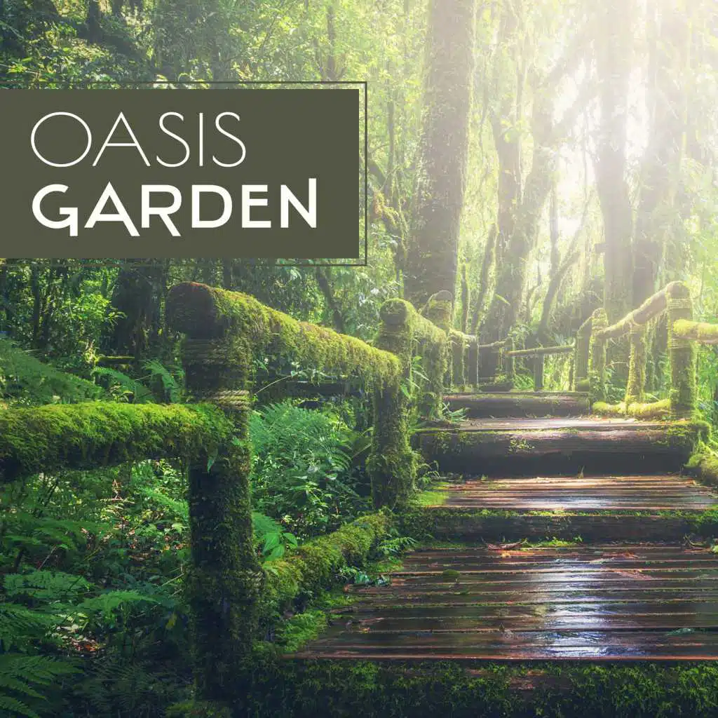 Oasis Garden – Zen Music Collection: New Age Sounds