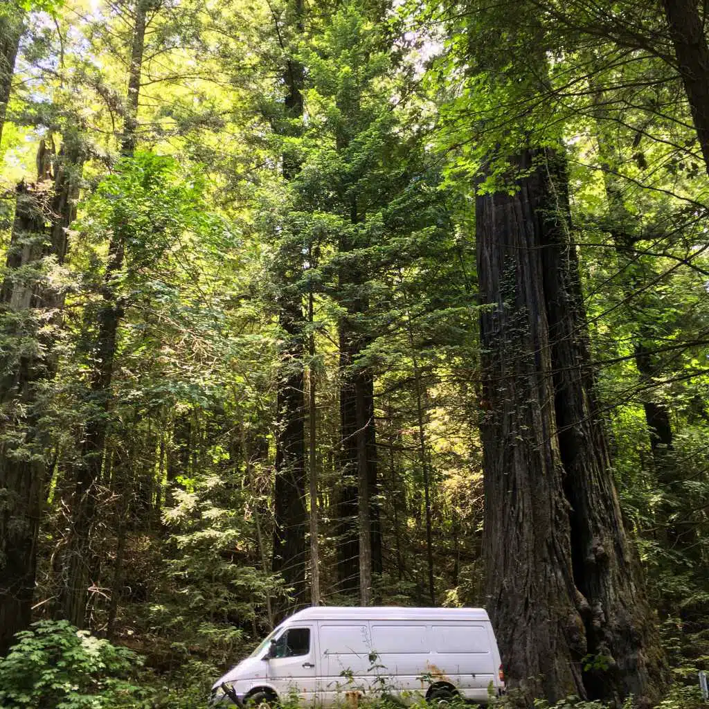 CJ Boyd, Marty Anderson, Kyle Field, Chelsea Wilde, Kenseth Thibideau, Jordan Morton, Jewel Greenberg, Scott Siler, John Horner, T.J. Borden, Christine O’Keefe, Isaac Takeuchi, Shanna Sordahl & Dominique Aneeka