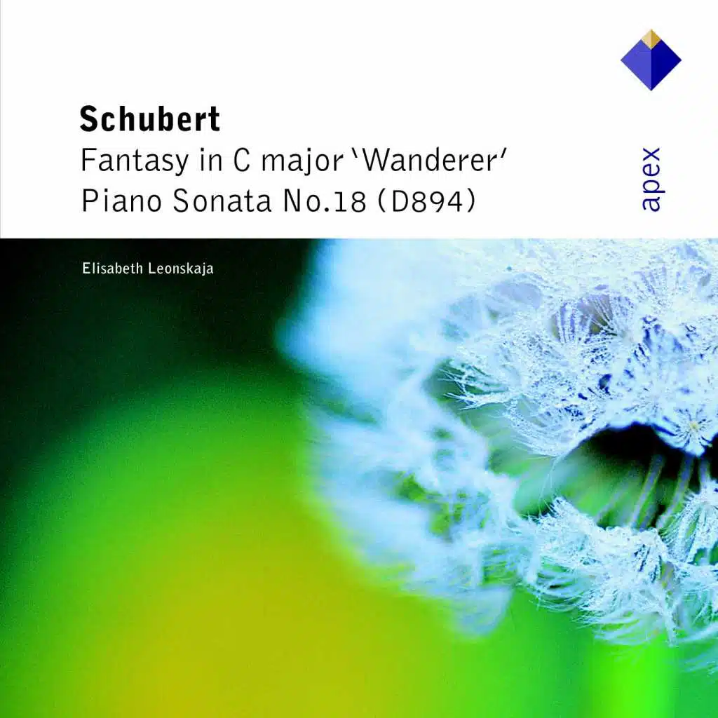 Fantasie in C Major, Op. 15, D. 760 "Wanderer-Fantasie": I. Allegro con fuoco ma non troppo