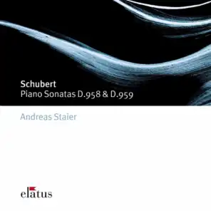 Schubert : Piano Sonatas Nos 19 & 20