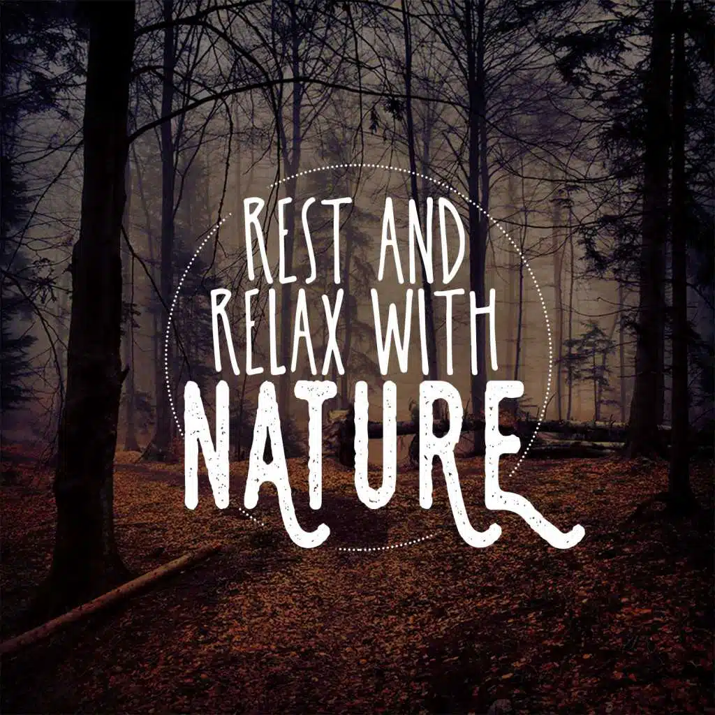 Massage Tribe|Meditation Spa|Rest & Relax Nature Sounds Artists