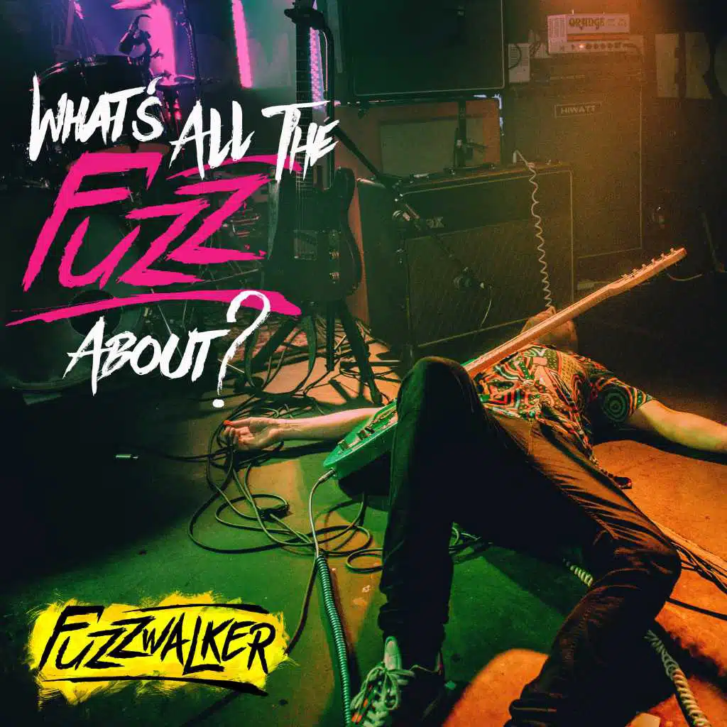 What's All The Fuzz About?