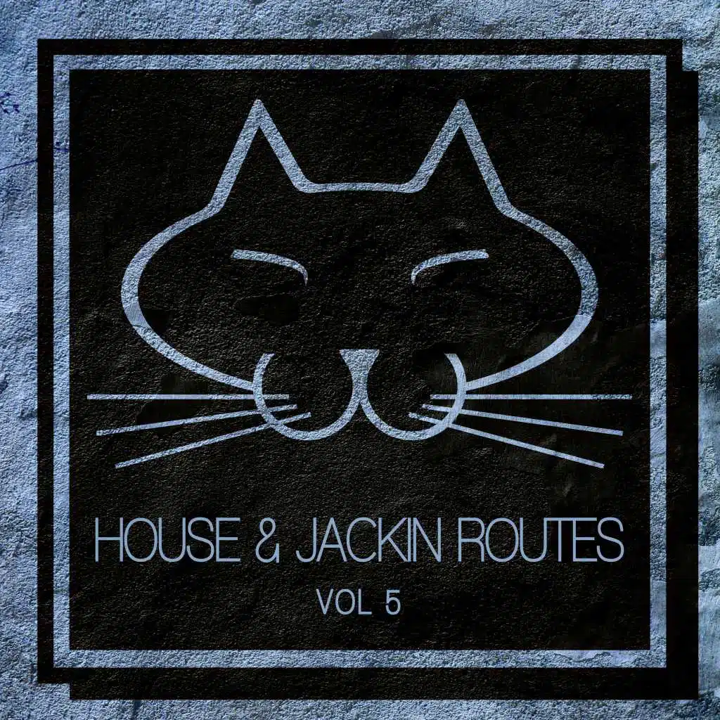 Way Down South (Jackin House Mix)