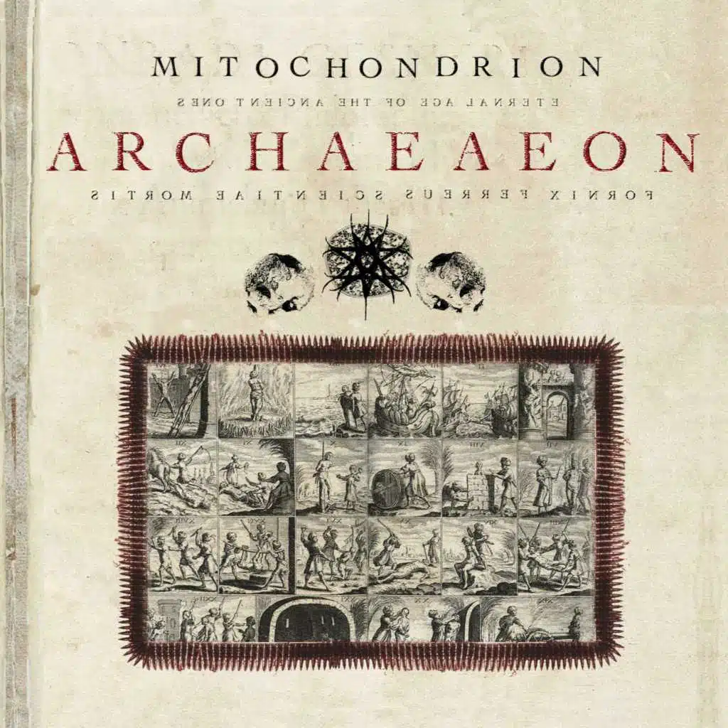 Archaeaeon