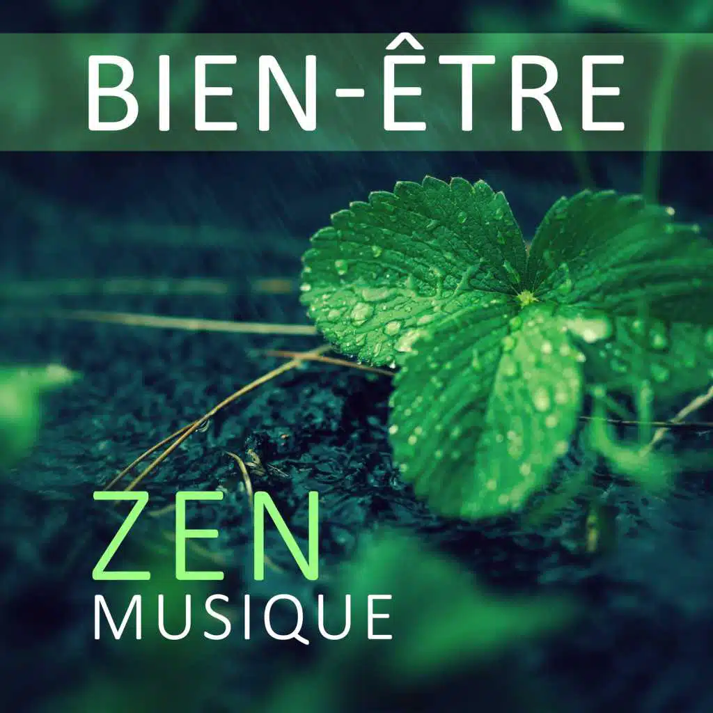 Bien-être - Zen musique & Sons de la nature (Massage, Yoga, Spa, Méditation, Tai Chi, Pilates, Sommeil)