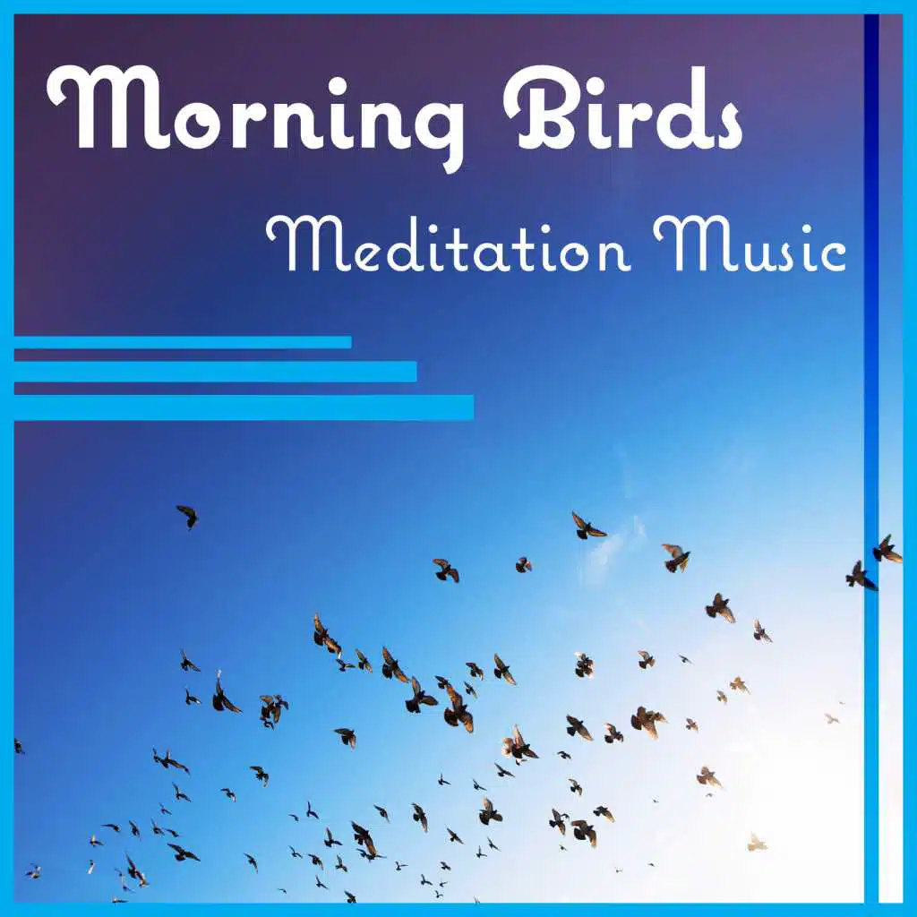 Morning Birds – Meditation Music: Sound of Nature for Deep Relaxation, Healing New Age Collection & Yoga Time