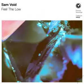 Sam Void