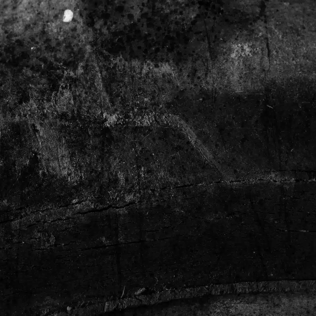 Cztery Utwory Muzyczne