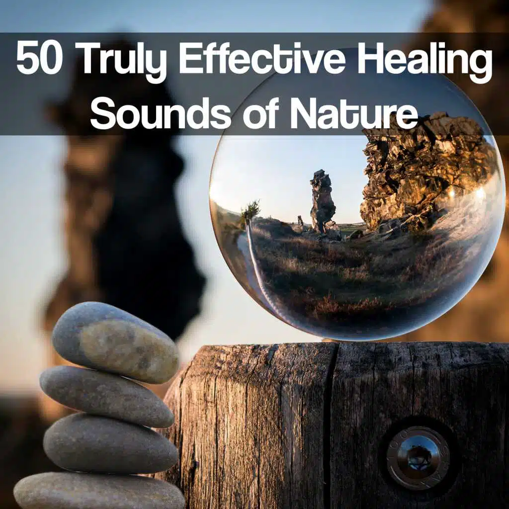 50 Truly Effective Healing Sounds of Nature: Most Relaxing Songs, Best Way to Fall Asleep, Body Internal Clock Set, Asian Meditation Music, Yoga & Spa Serenity, Healthy Lifestyle Music