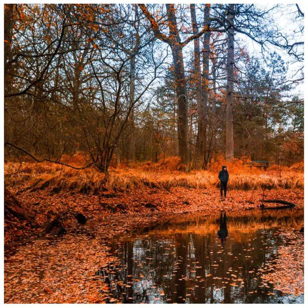 La saison des rêves