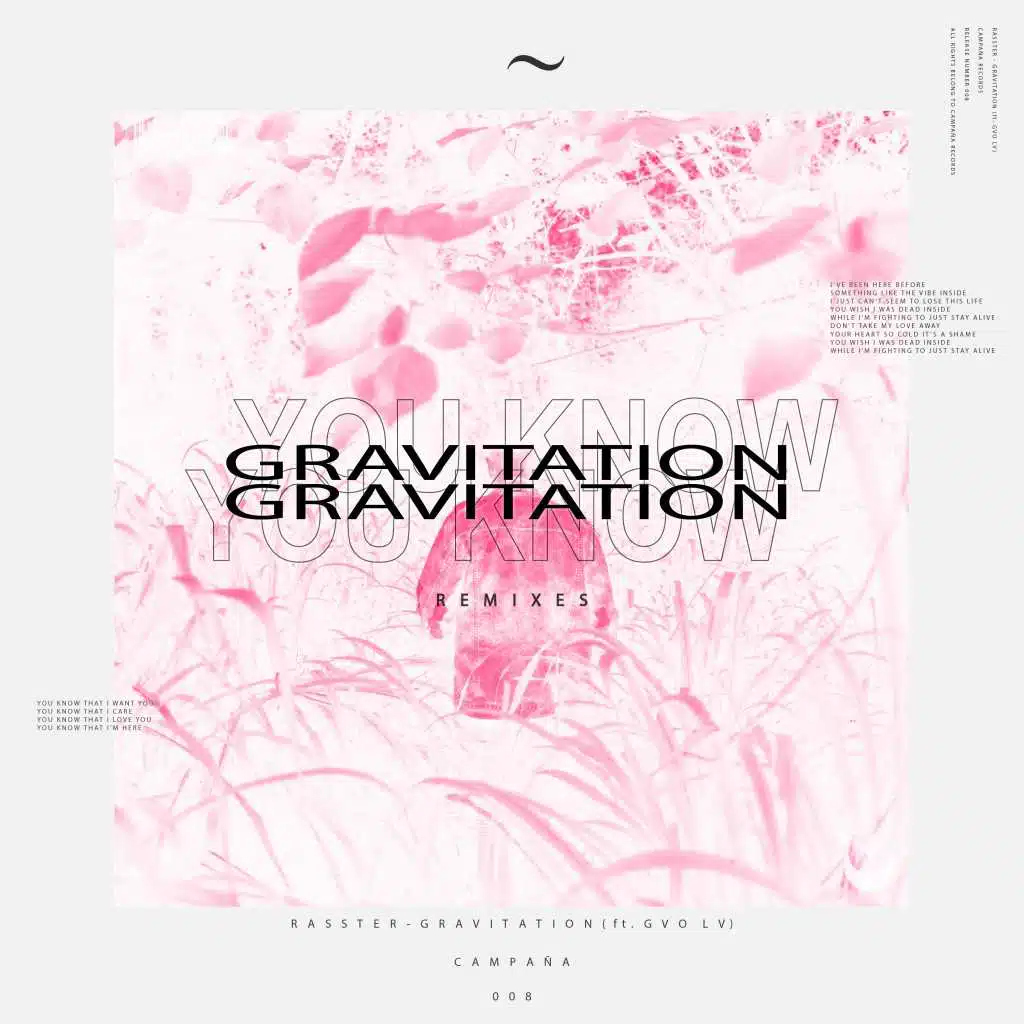 Gravitation (The Remixes)
