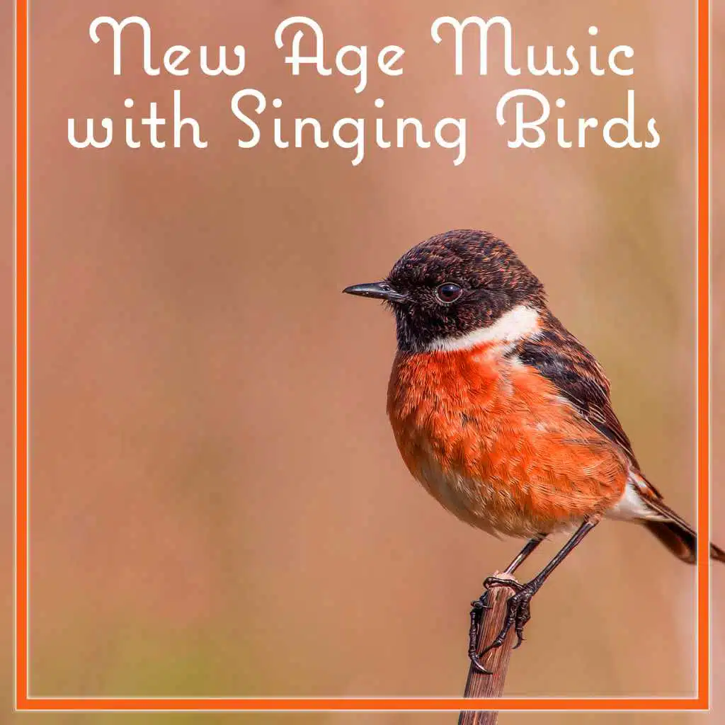 Music for Yoga (Spirituality)