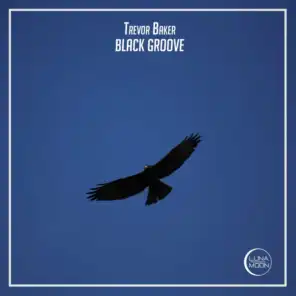 Black Groove