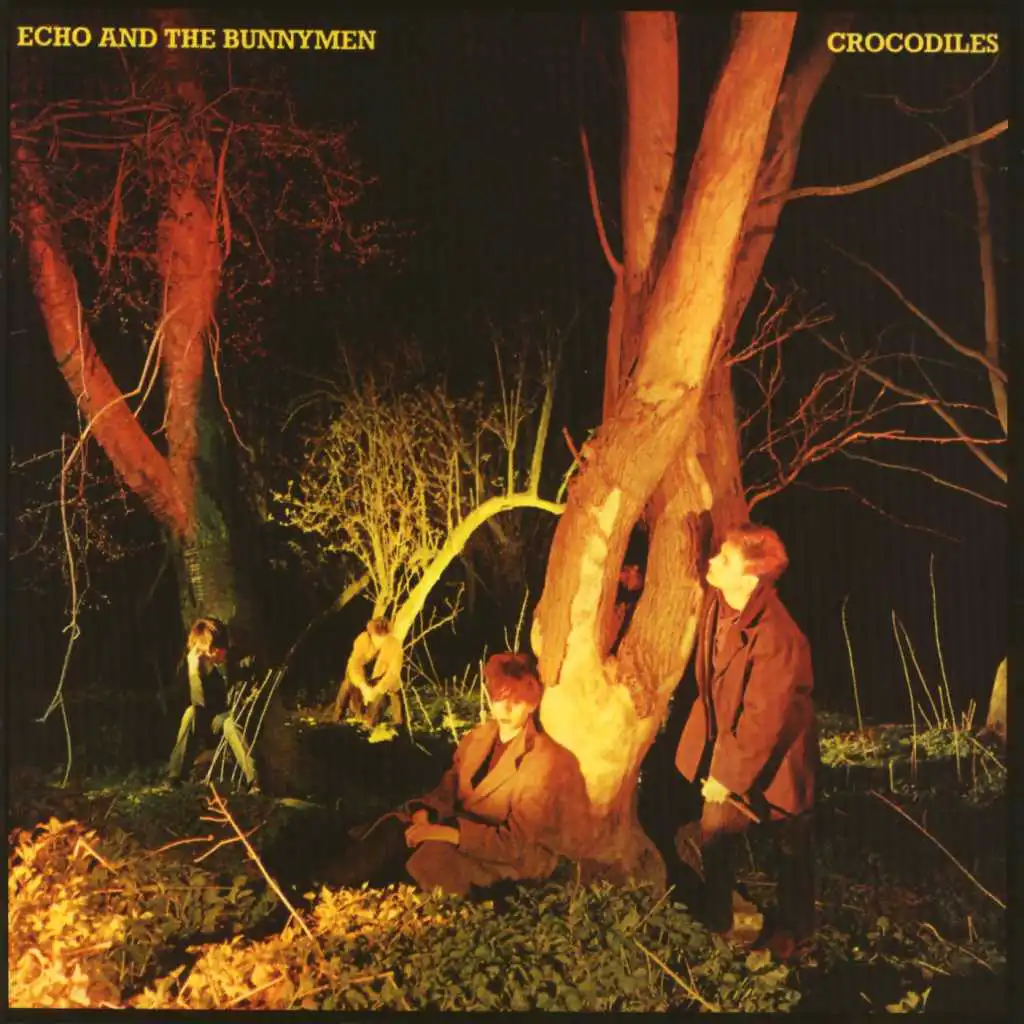 Crocodiles (Expanded) [2007 Remaster] (Expanded; 2007 Remaster)