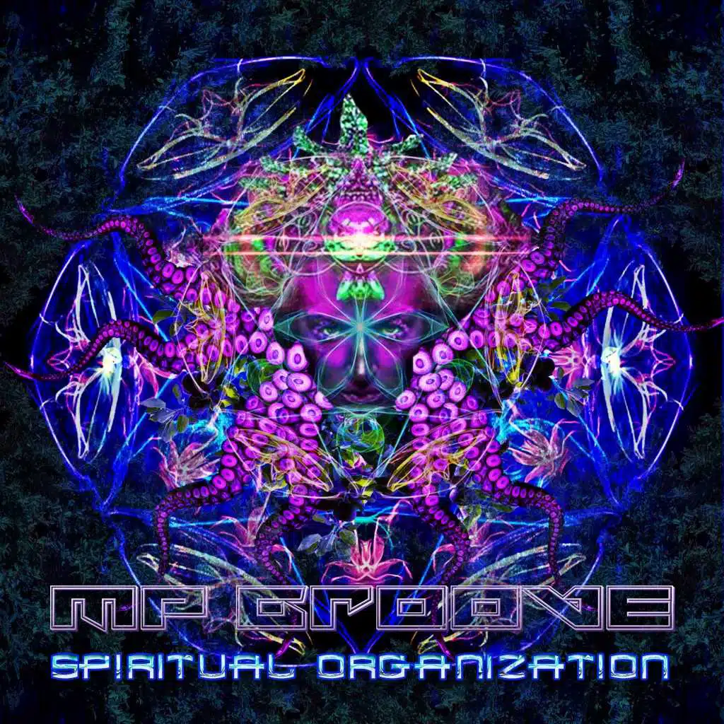 Spiritual Organization