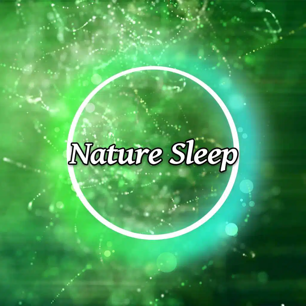 Nature Sleep – Sereniy Sleep, Calm Sounds, Relaxation Music, Reiki, Silence Song