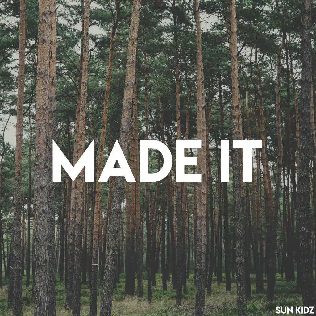 Made It (Hands up Mix V1)