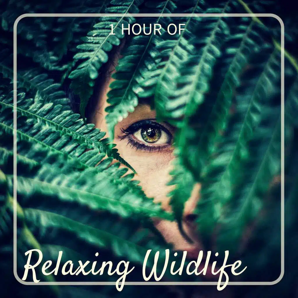 Blessing (Chakra Balancing Music)