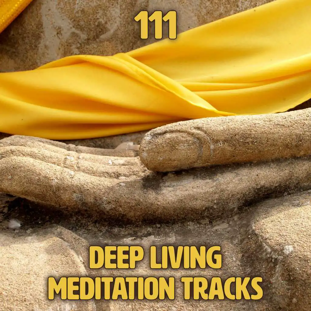 111 Deep Living Meditation Tracks: Zen New Age and Healing Sounds of Nature to Beat Stress, Background Music for Yoga Classes, Sleep & Spa Relaxation