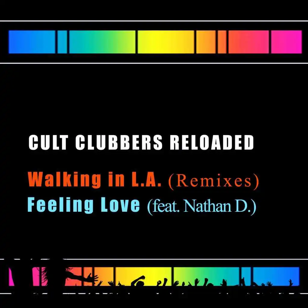 Feeling Love (feat. Nathan D.)