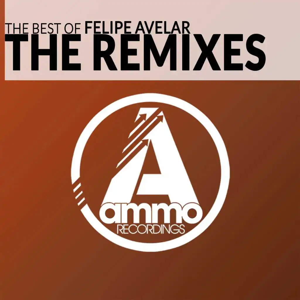 The Best of Felipe Avelar, the Remixes