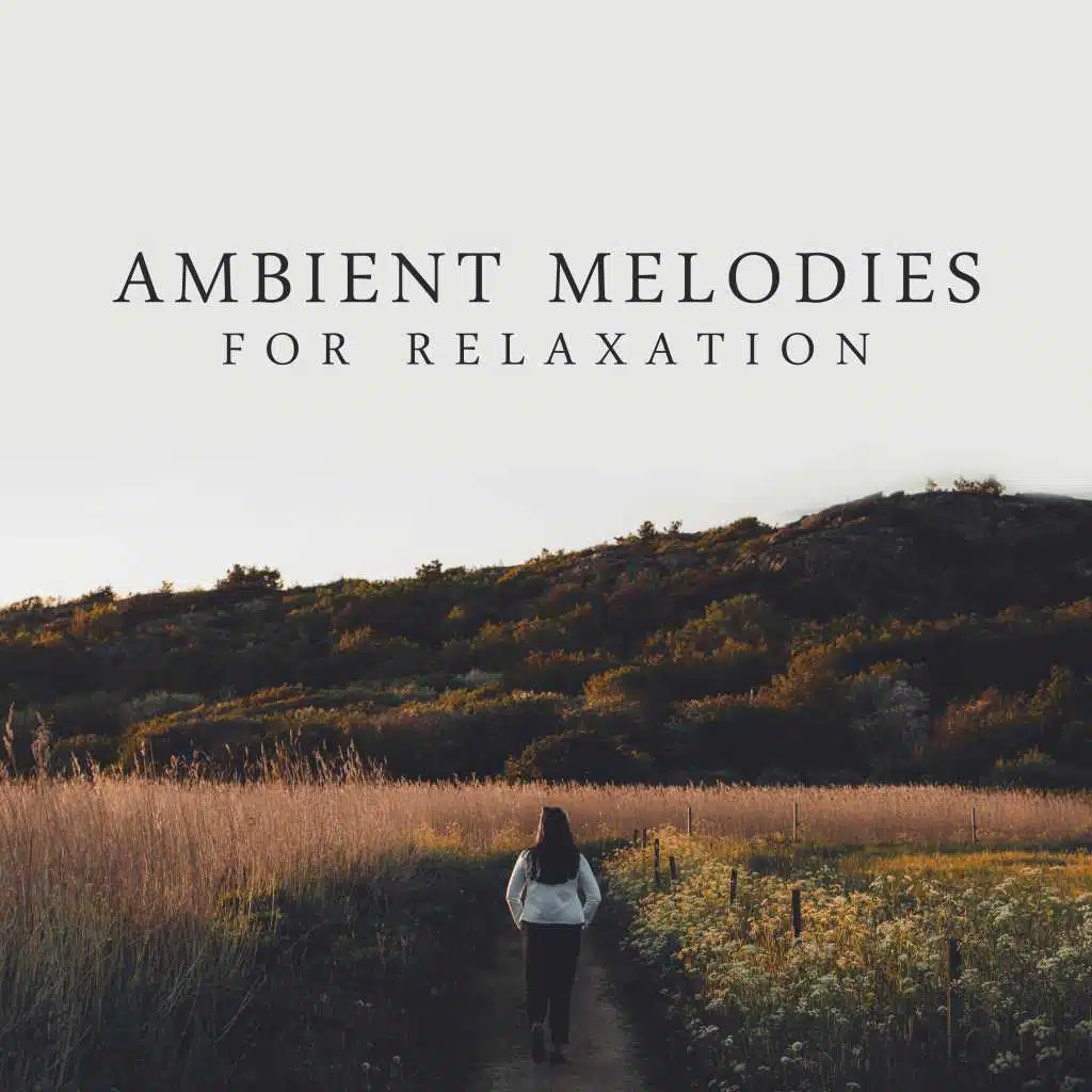 2018 Great Mindfulness Meditation