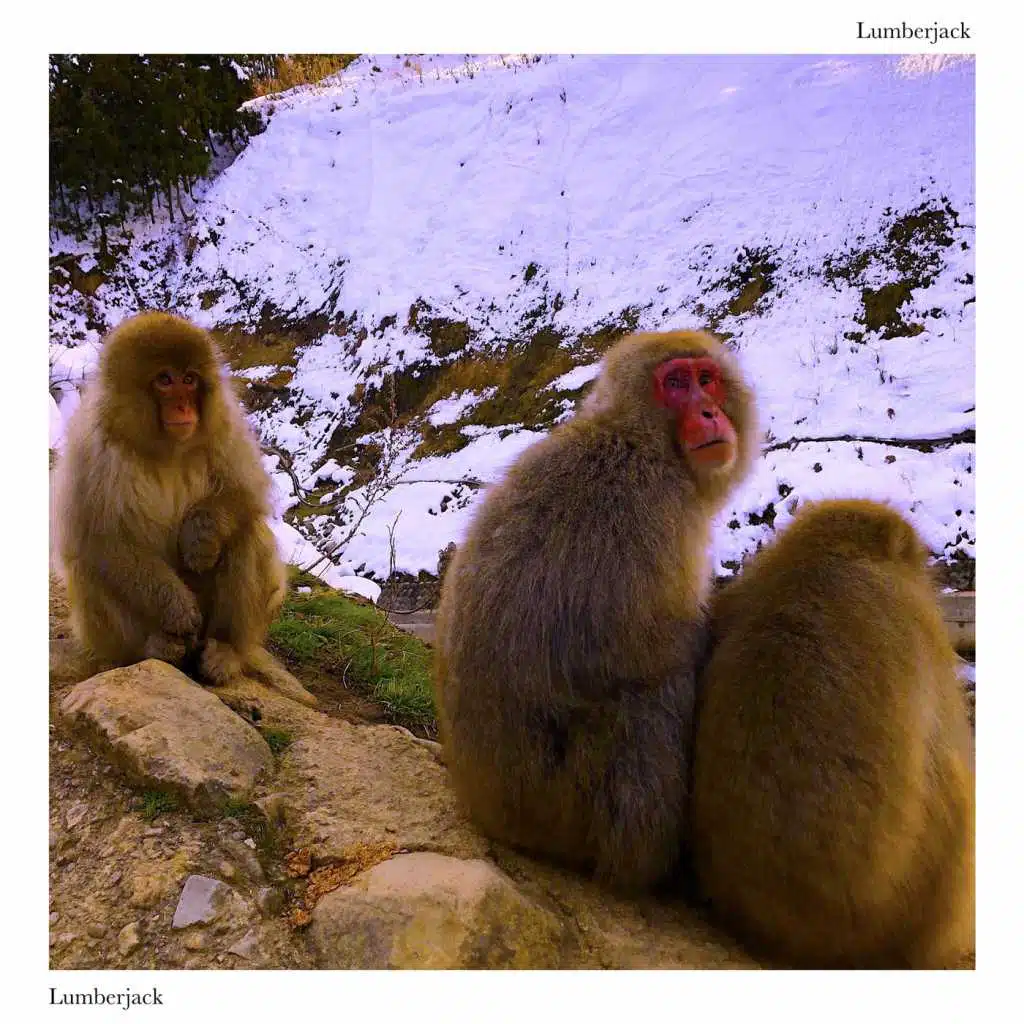 Lumberjack