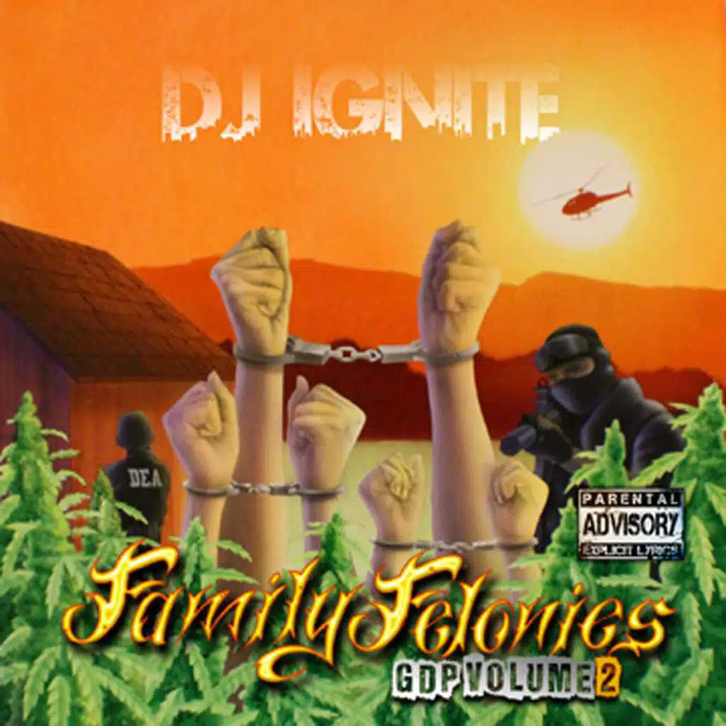 Family Felonies Gdp Volume 2