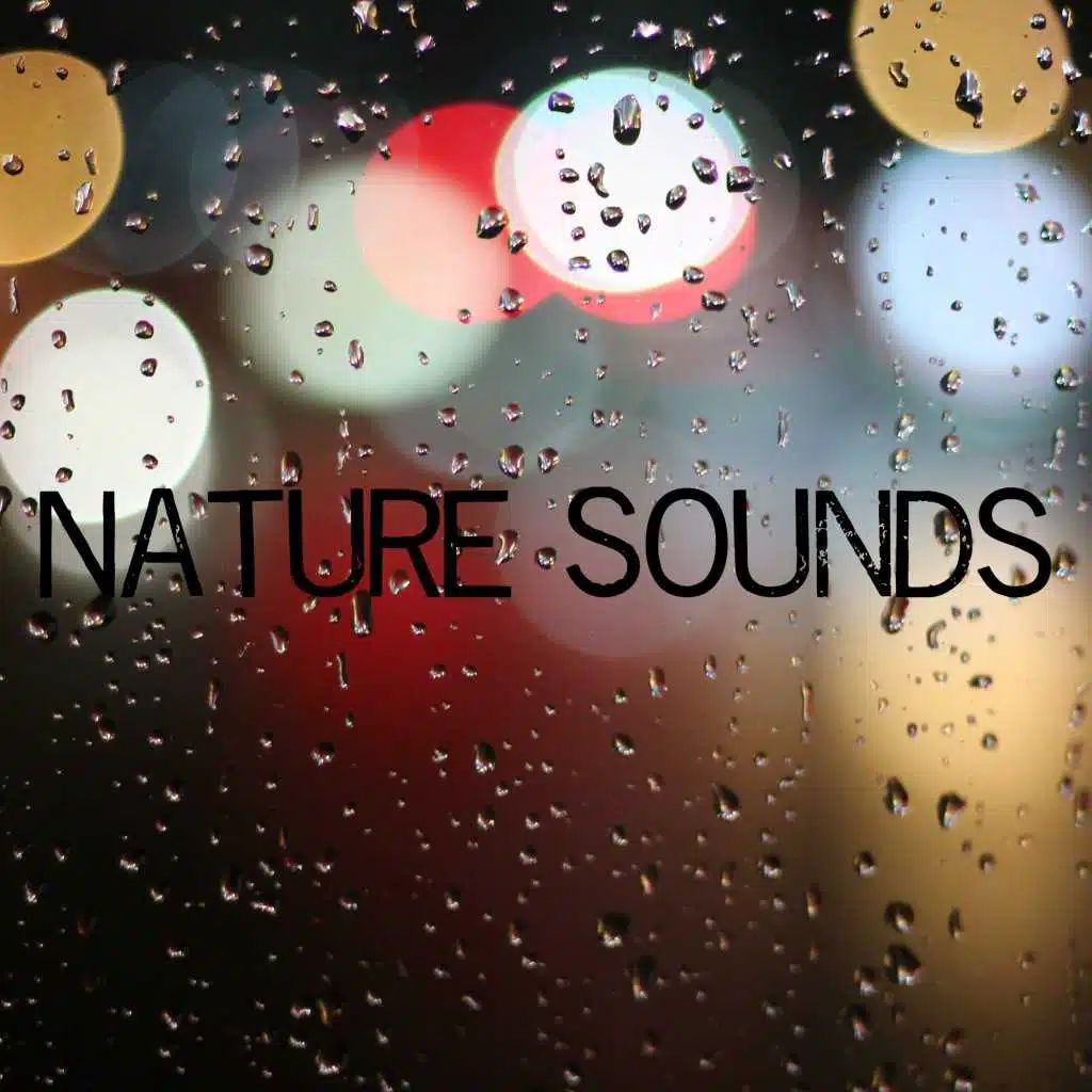 Nature Sounds