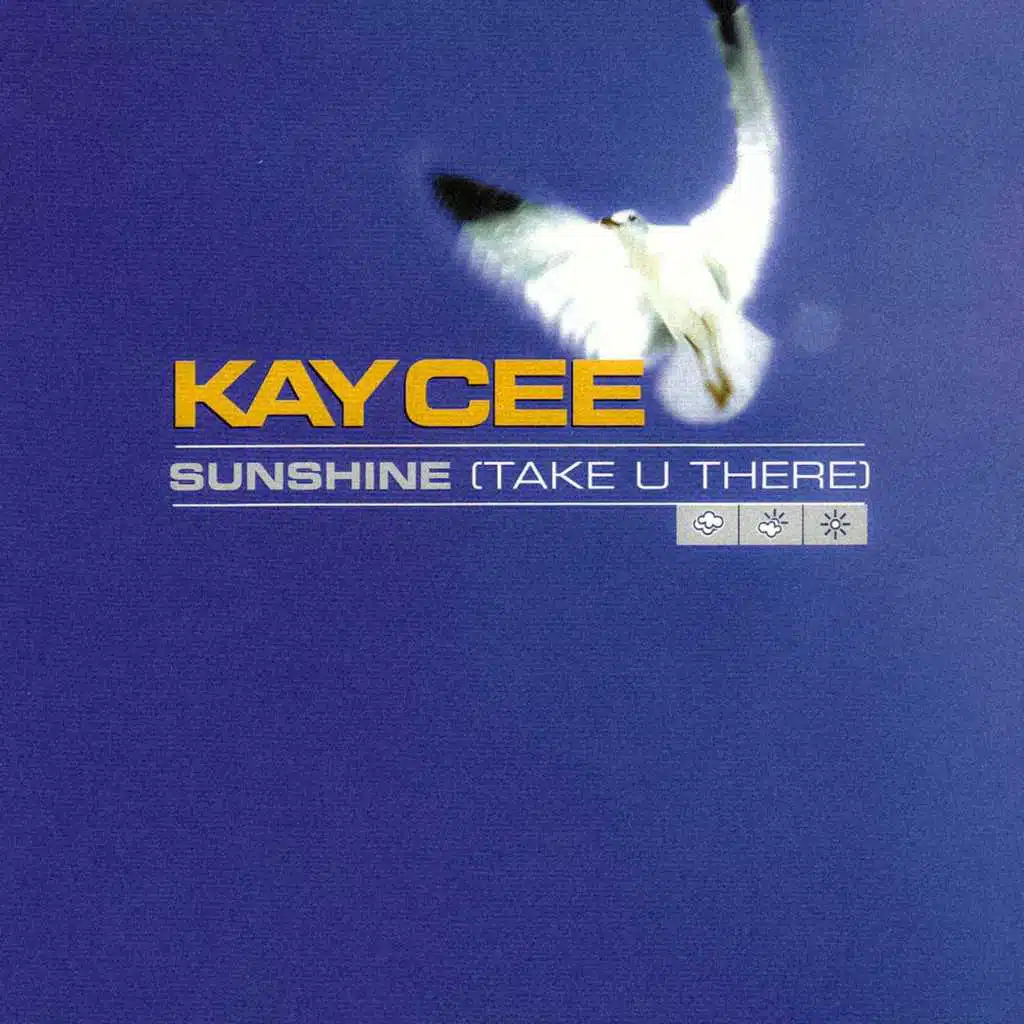 Sunshine (Take U There) (Video Edit)