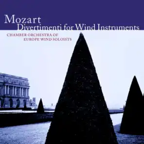 Mozart : Divertimenti for Wind Instruments