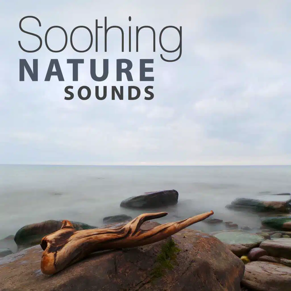 Soothing Nature Sounds – New Age Music, Ultimate Relaxation, Nature Collection