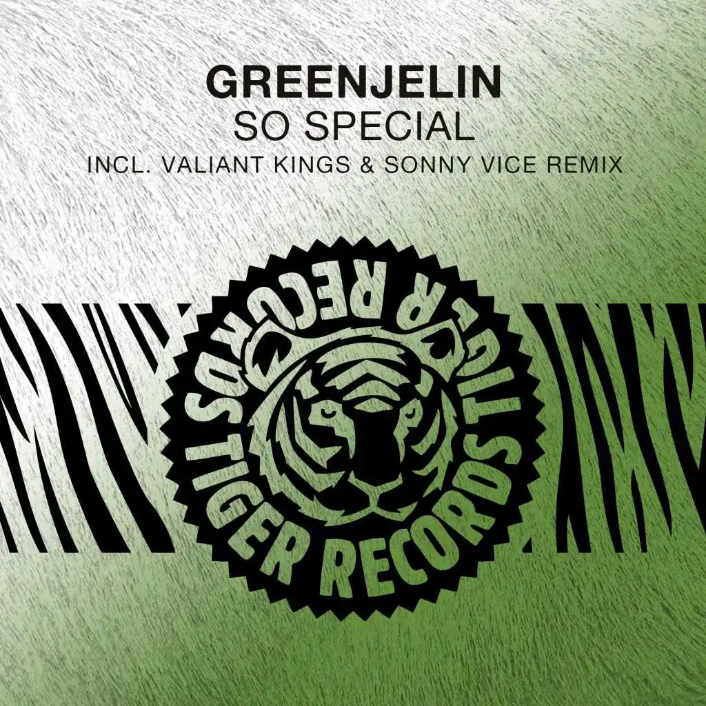 So Special (Valiant Kings & Sonny Vice Radio Edit)