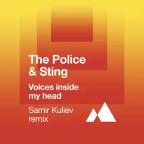 Voices Inside My Head (Samir Kuliev Remix)