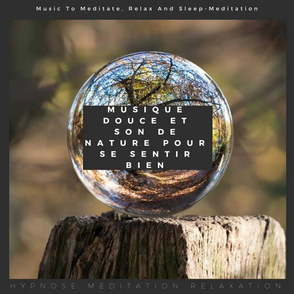Musique douce et son de nature pour se sentir bien