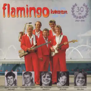 Flamingokvintetten 20