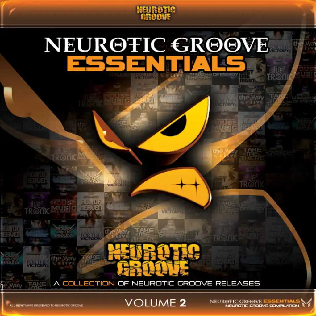 Neurotic Groove Essentials, Vol. 2