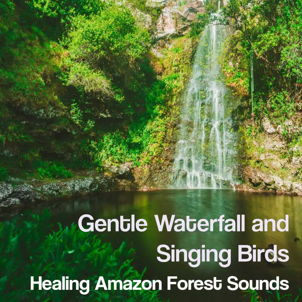 Gentle Waterfall and Singing Birds: Healing Amazon Forest Sounds, Calm Nature, Relaxing Instrumental New Age Music - Zen Moods for the Spa Experience, Yoga & Meditation