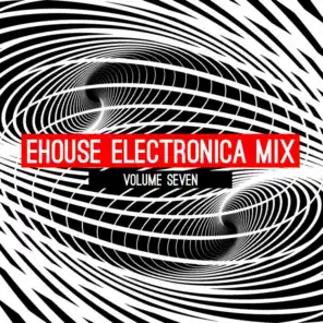 Ehouse: Electronica Mix, Vol. 7