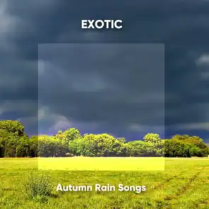 Exotic Autumn Rain Songs