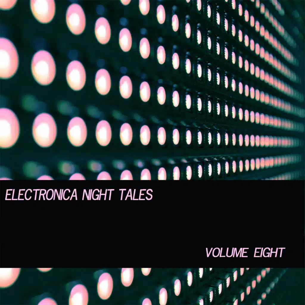 Electronica Night Tales, Vol. 8